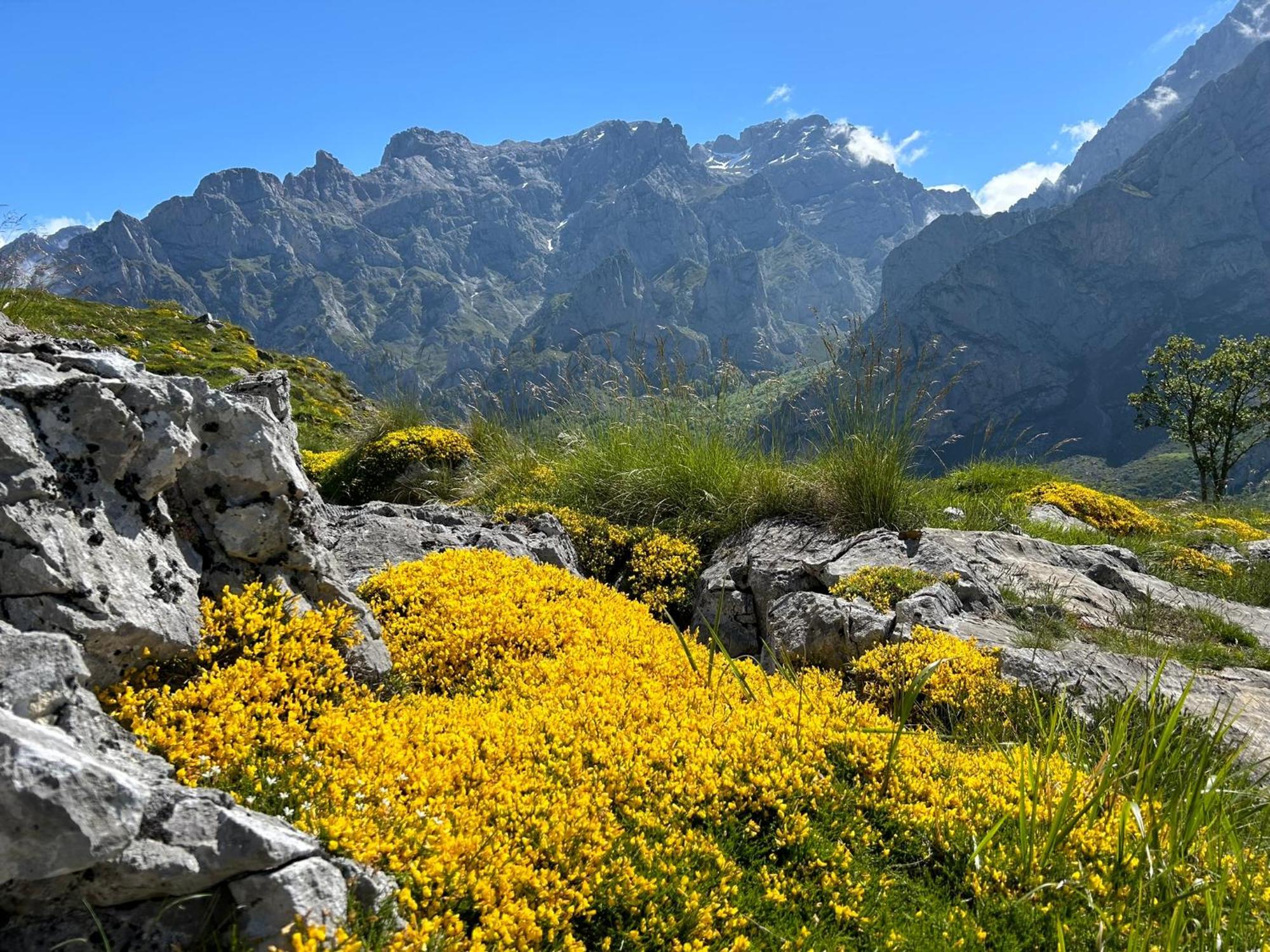 La Balconada De Valdeon Βίλα Posada De Valdeon Εξωτερικό φωτογραφία